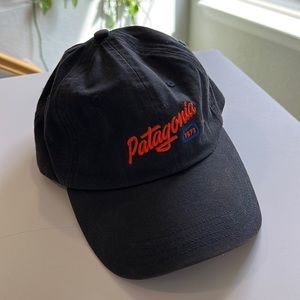 Patagonia adjustable baseball hat